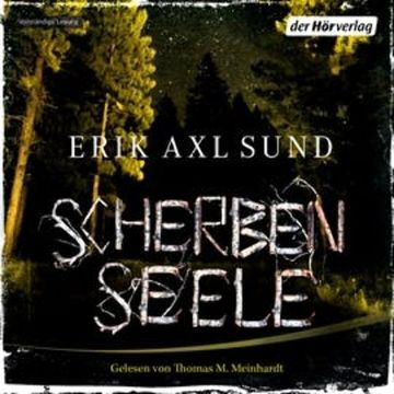 Scherbenseele audiobook, Erik Axl Sund