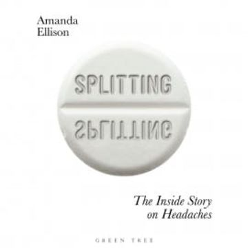 Splitting audiobook, Amanda Ellison