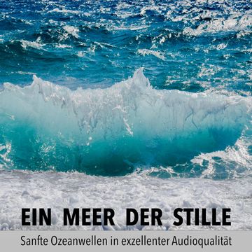 Ein Meer der Stille: Sanfte Ozeanwellen in exzellenter Audioqualität audiobook, Robert van Dyck