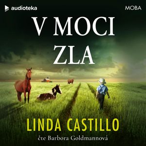 V moci zla, Linda Castillo