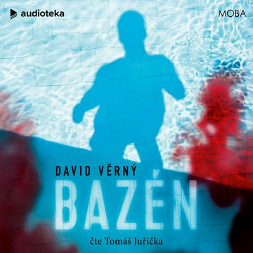 Bazén audiobook, David Věrný