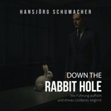 Down the Rabbit Hole audiobook, HansJörg Schumacher