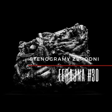 FERAJNA #30 - podcast, kryminał, słuchowisko, antykryminał audiobook, Piotr Wielg