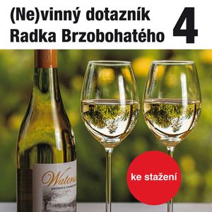 (Ne)vinný dotazník Radka Brzobohatého 4., Radoslav Brzobohatý