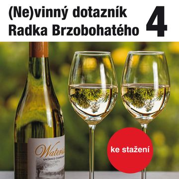 (Ne)vinný dotazník Radka Brzobohatého 4. audiobook, Radoslav Brzobohatý
