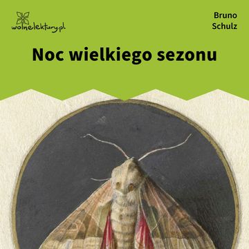 Noc wielkiego sezonu audiobook, Bruno Schulz