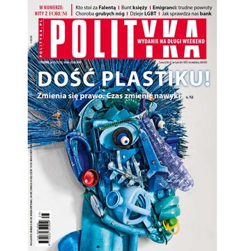 AudioPolityka Nr 25 z 18 czerwca 2019, Polityka