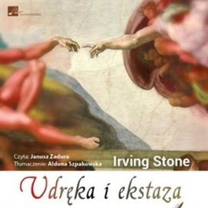 Udręka i ekstaza, Irving Stone