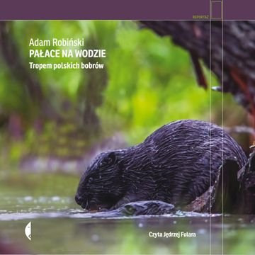 Pałace na wodzie audiobook, Adam Robiński