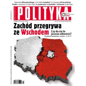 AudioPolityka Nr 22 z 29 maja 2019, Polityka