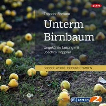 Unterm Birnbaum audiobook, Theodor Fontane