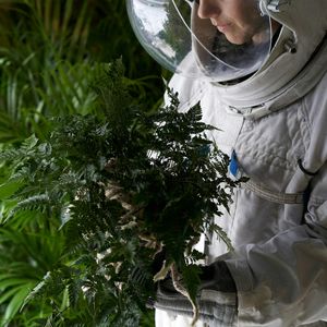 S01E02 #BEZPIECZNIK Natura vs. architektura, Joanna Jurga