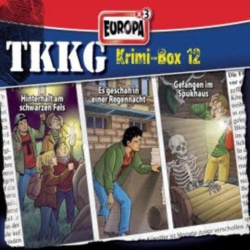 TKKG Krimi-Box 12 (Folgen 145/153/155) audiobook, Stefan Wolf