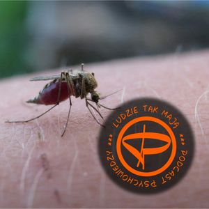 Wstręt a sprawa polska, Przemek Mućko