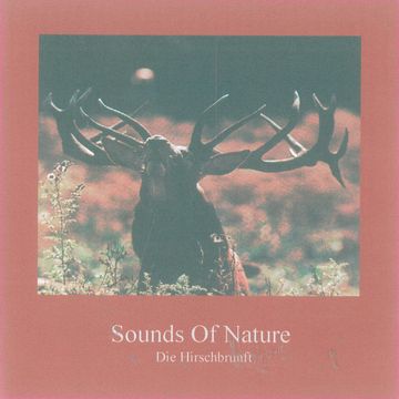 Sounds of Nature - Die Hirschbrunft audiobook, Thomas Kommer