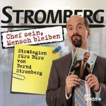 Stromberg - Chef sein, Mensch bleiben audiobook, Ralf Husmann