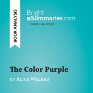 The Color Purple by Alice Walker (Book Analysis), Bright Summaries
