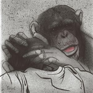 Brief #122 – Łowcy pedofilów, robot-leniwiec i ludność Cayambe, Outride.rs