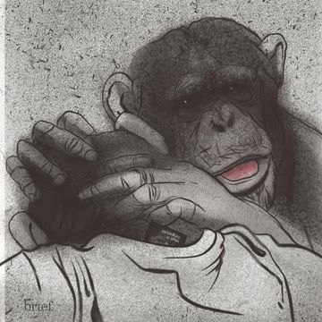 Brief #122 – Łowcy pedofilów, robot-leniwiec i ludność Cayambe audiobook, Outride.rs