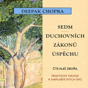 Sedm duchovních zákonů úspěchu, Deepak Chopra