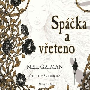 Spáčka a vřeteno, Neil Gaiman