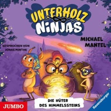 Unterholz-Ninjas. Die Hüter des Himmelssteins [2] audiobook, Michael Mantel