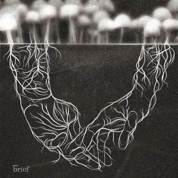 Brief #130 – Neutralne paliwo, detektor kolizji i wildbook audiobook, Outride.rs