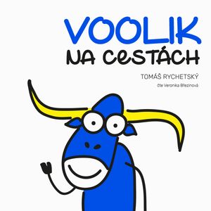 Voolik na cestách, Tomáš Rychetský