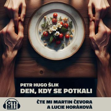 Den, kdy se potkali audiobook, Petr Hugo Šlik