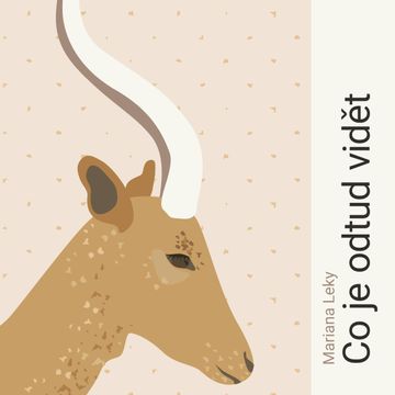 Co je odtud vidět audiobook, Mariana Leky