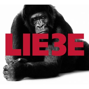 Liebe 3, Hagen Rether