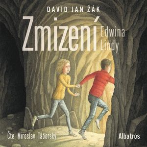 Zmizení Edwina Lindy, David Jan Žák
