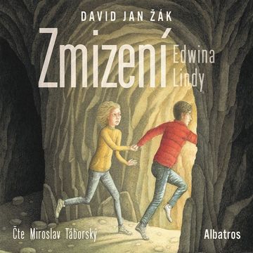Zmizení Edwina Lindy audiobook, David Jan Žák