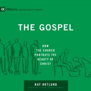 The Gospel, Ray Ortlund