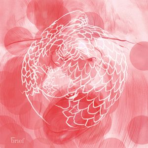 Outriders Brief #53, Outride.rs