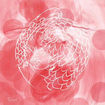 Outriders Brief #53 audiobook, Outride.rs