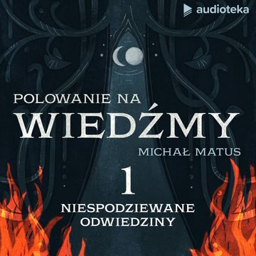 Polowanie na wiedźmy. Odcinek 1: Niespodziewane odwiedziny audiobook, Michał Matus