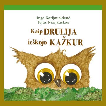 Kaip Drūlija ieškojo KAŽKUR audiobook, Inga Narijauskienė, Pijus Narijauskas