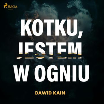 Kotku jestem w ogniu audiobook, Dawid Kain