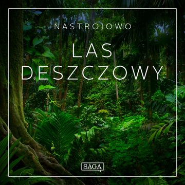 Nastrojowo - Las Deszczowy audiobook, Rasmus Broe