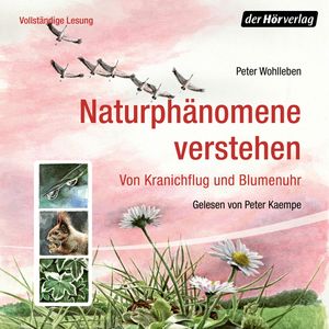 Naturphänomene verstehen. Von Kranichflug und Blumenuhr, Peter Wohlleben