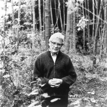 Oko na Lovelocka (Łukasz Kaniewski) audiobook, Kwartalnik Przekrój