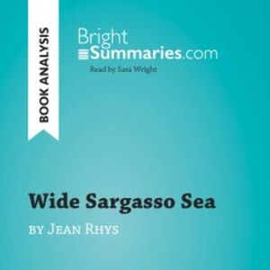 Wide Sargasso Sea by Jean Rhys (Book Analysis), Bright Summaries