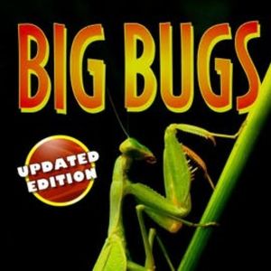 Big Bugs, Seymour Simon
