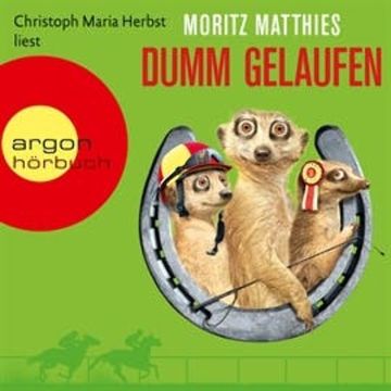Dumm gelaufen (Ray und Rufus 3) audiobook, Moritz Matthies