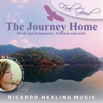 Feel Good - The Journey Home audiobook, N.N.