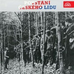 Povstání českého lidu, Adolf Starý, Antonín Hradílek, Jan Ondrovčák, Josef Mašek, Karel Karas, Oldřich Němeček, Valentin Gába, Vasil Kiš, Vladimír Putík