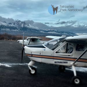 100. Powrót do Małej Łąki, Bartek Solik