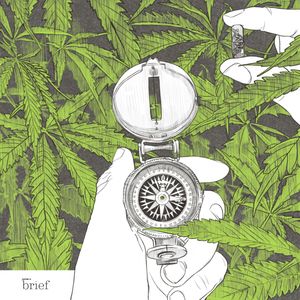 Brief #54 Prawa kobiet, mądre pszczoły i wędrujące bieguny, Outride.rs