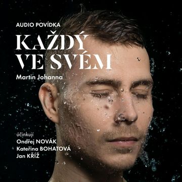 Každý ve svém audiobook, Martin Johanna